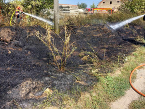 Vítr na jihu Moravy lámal stromy a ničil střechy. Hasiči hlásí téměř šedesát zásahů