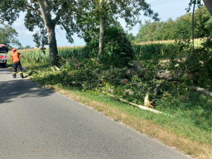 Vítr na jihu Moravy lámal stromy a ničil střechy. Hasiči hlásí téměř šedesát zásahů