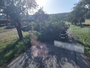 Vítr na jihu Moravy lámal stromy a ničil střechy. Hasiči hlásí téměř šedesát zásahů