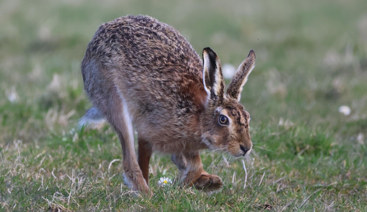 Ilustrační fotografie
