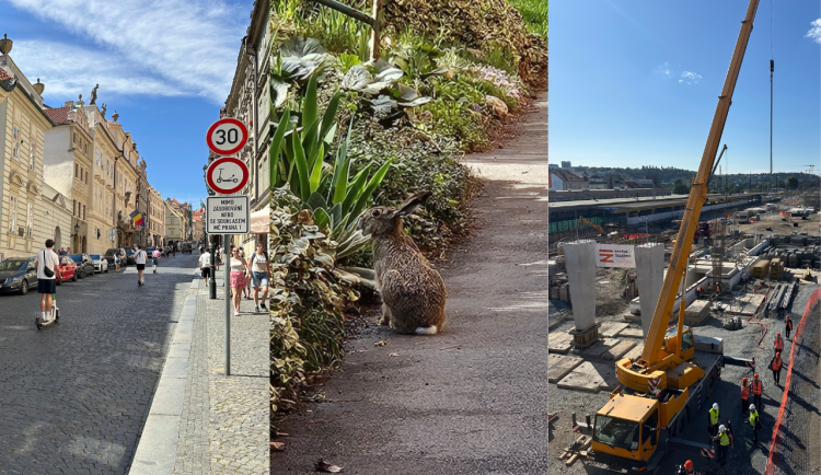 SRPEN 2025: Boj proti koloběžkám, život zajíců v Praze a prohlídka nádraží Smíchov