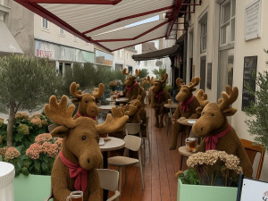 Los v ateliéru, bance nebo kavárně. Emil se stal za hranicemi marketingovým tahákem