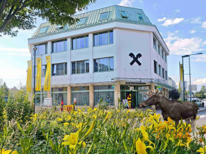 Los v ateliéru, bance nebo kavárně. Emil se stal za hranicemi marketingovým tahákem