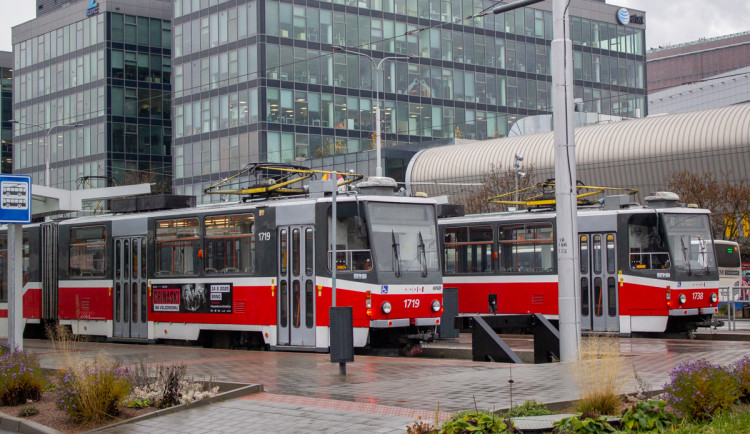 17337573680026-139-img-7252edit