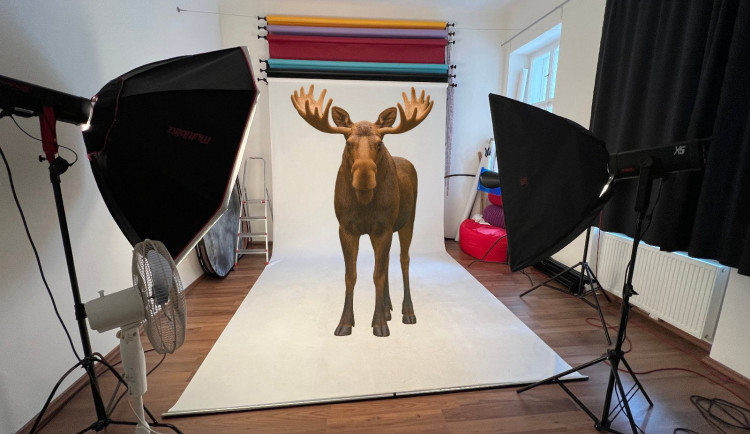 Ilustrační fotografie