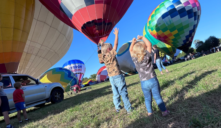 Zvířata se mohou bát horkovzdušných balonů. Hradecký zastupitel varuje před plašením koní