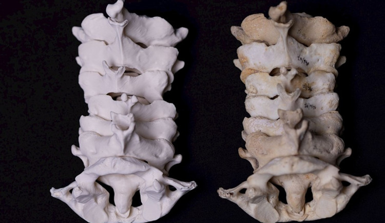 Ilustrační fotografie