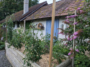 Prvorepubliková zahrada 2