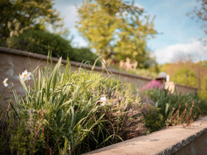 Zahrada 5 elementů 1