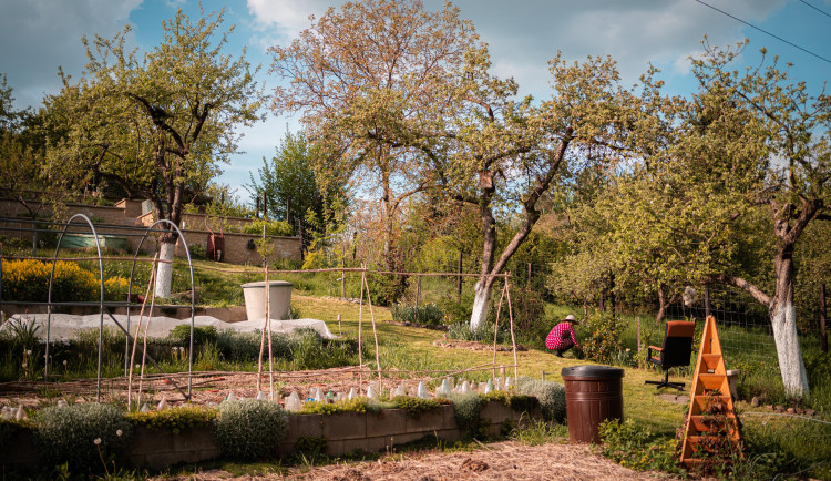 Zahrada 5 elementů 3