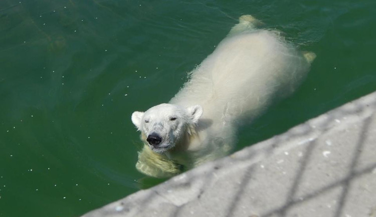 Ilustrační fotografie