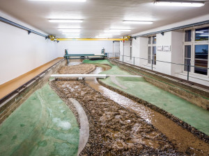 Uplynul rok od velké vody. Brno pracuje na svých povodňových opatřeních