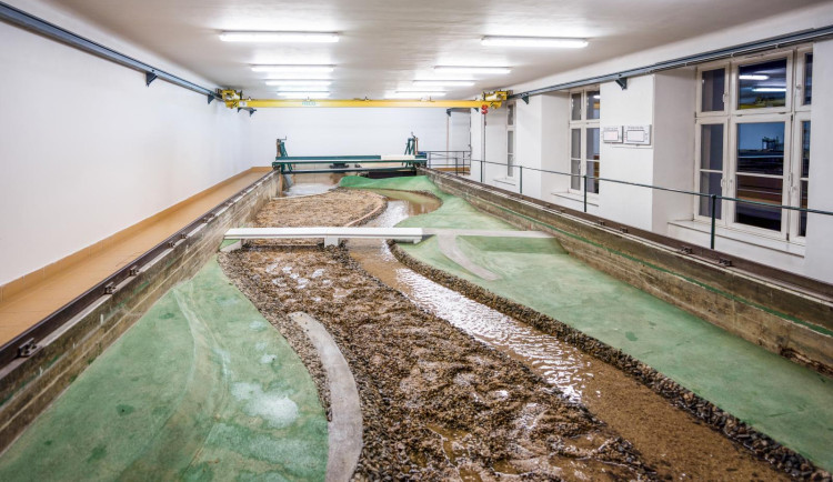 Uplynul rok od velké vody. Brno pracuje na svých povodňových opatřeních