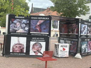 Mendlák obsadili odpůrci potratů a ženských práv,