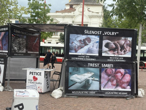 Mendlák obsadili odpůrci potratů a ženských práv,