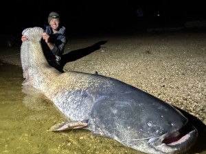 Rybář Vágner ulovil na Vranově dalšího macka, tentokrát měří hned 255 centimetrů