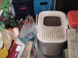 Zápach a nepořádek. Inspektoři zavřeli kočičí kavárnu v Ivančicích