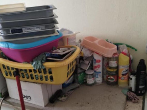 Zápach a nepořádek. Inspektoři zavřeli kočičí kavárnu v Ivančicích