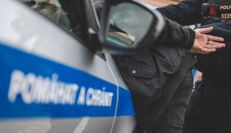 Týrání zvířat, vloupačky i krádeže. Podmínka na muže z Rychnova nezabrala