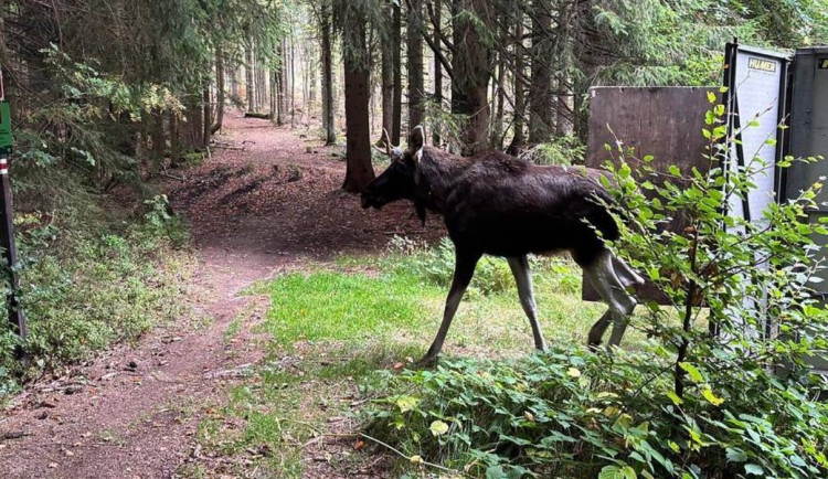 550873525_122150854448773908_8709589261857707885_n