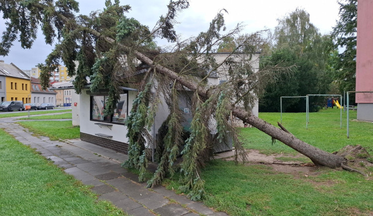 Vichr trápí Olomoucký kraj, zavřel i zoo. Hasiči řešili přes sto zásahů