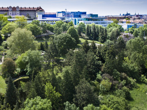 Botanickou zahradu trápí sucho. Brněnská univerzita chystá vlastní vrt