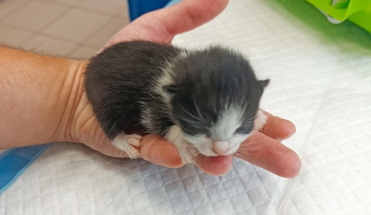 553970583_823913566658640_8550009374325605152_n