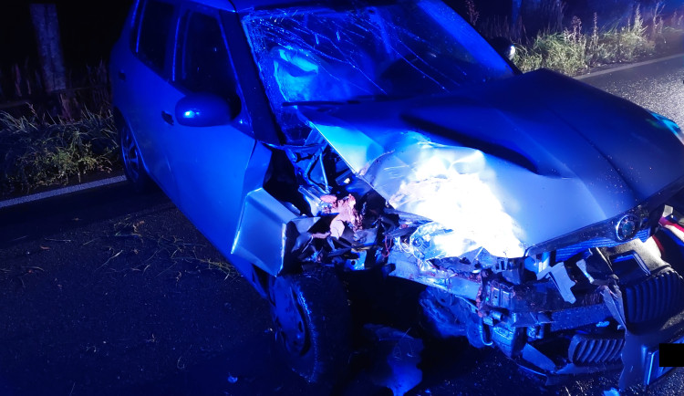 Řidiče u Horní Cerekve zastavil dvě hodiny po půlnoci strom. Měl téměř tři promile