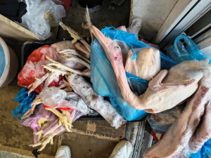 Inspektoři v brněnské tržnici Vinamo objevili stovky kil masa neznámého původu