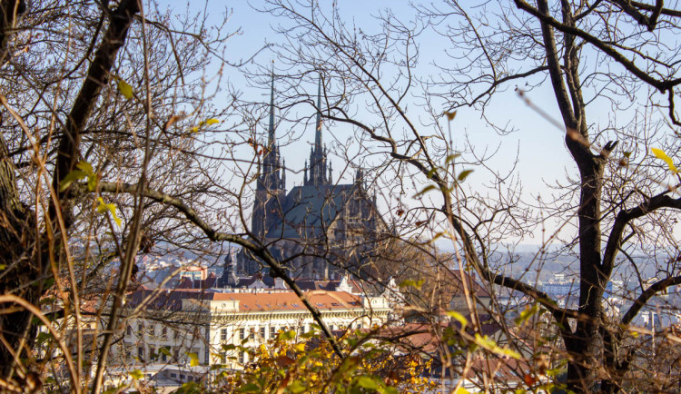 Ilustrační fotografie