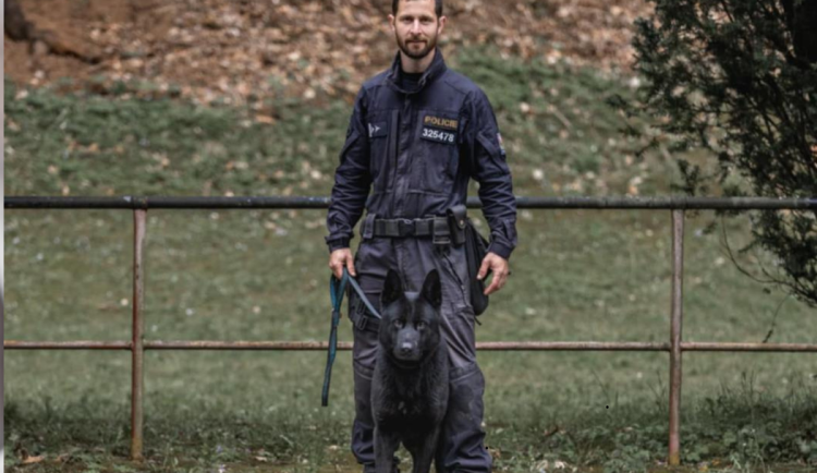 Policejní pes odhalil lháře, který řídil bez papírů. Hrozí mu vězení