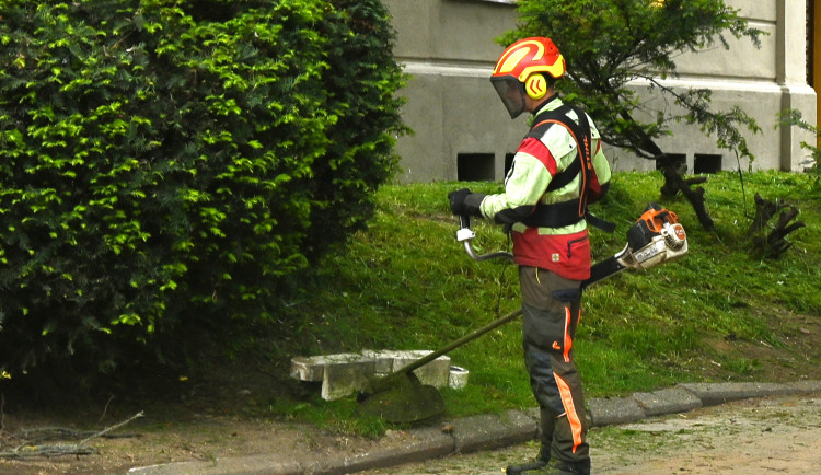 Tráva v Jihlavě se seče v 10 oblastech. Soukromí majitelé mohou dostat pokutu