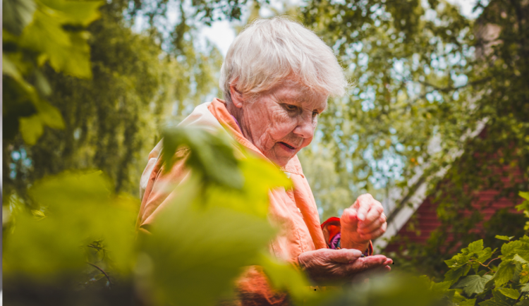 V pátek se otevře nový domov pro seniory v Novém Bydžově