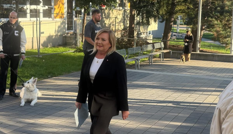 Ilustrační fotografie