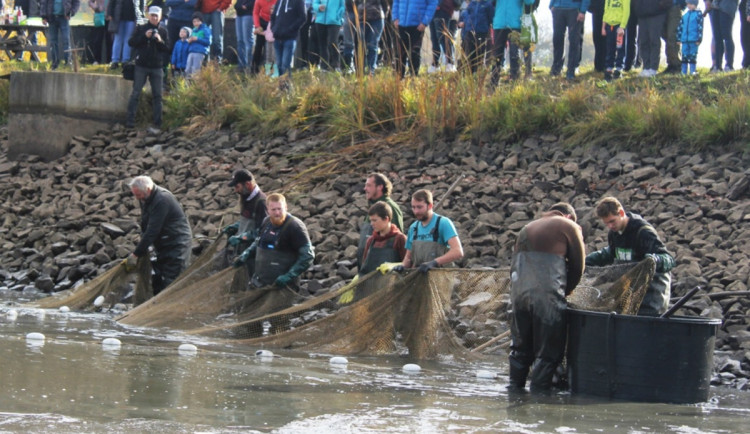 Vypustí rybník Miloše Zemana. Začínají podzimní výlovy i výstavy zahrádkářů
