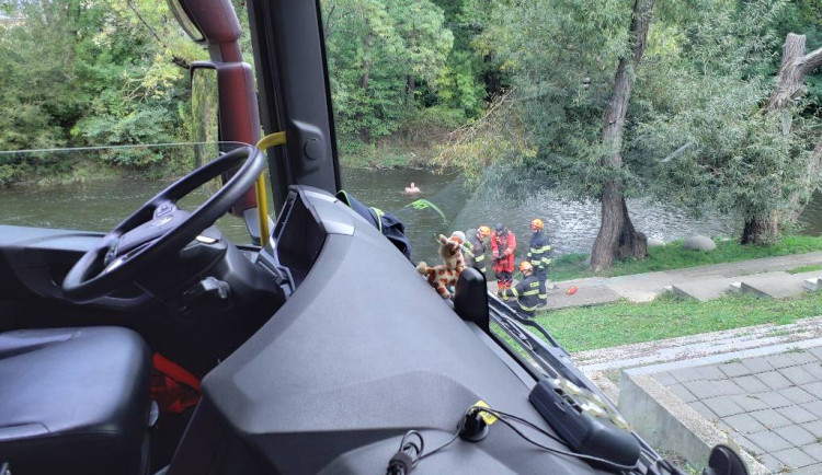 Záchrana ze Svratky se změnila v potyčku. Žena po hasičích vrhala kameny
