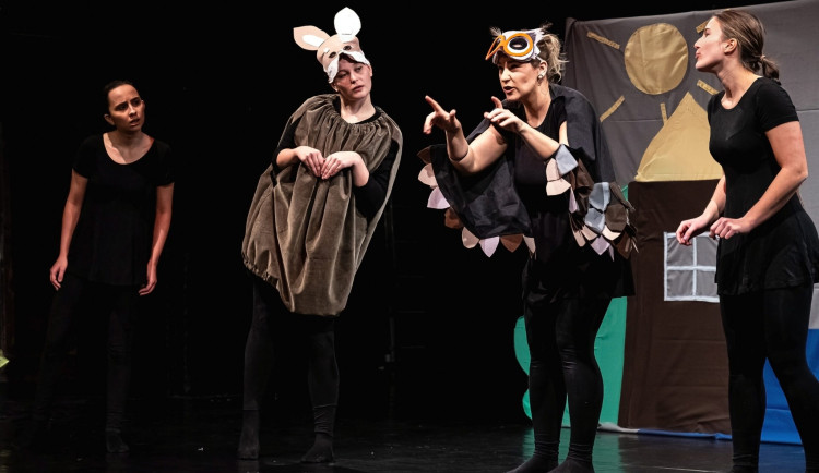 Handicap není překážkou pro uměleckou tvorbu. Potvrzuje to i brněnský festival FEST IN