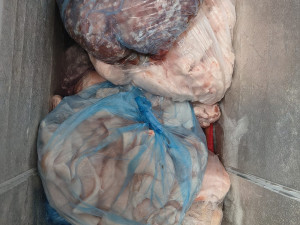 V brněnské tržnici znovu prodávali maso neznámého původu. Inspekce zabavila desítky kilo