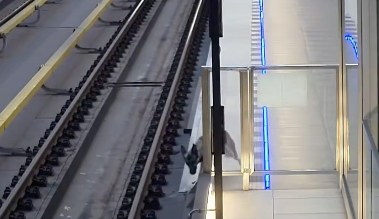 VIDEO: Na půlce metra linky A byl hodiny zastaven provoz, do tunelu vběhl pes
