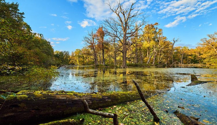 Ilustrační fotografie