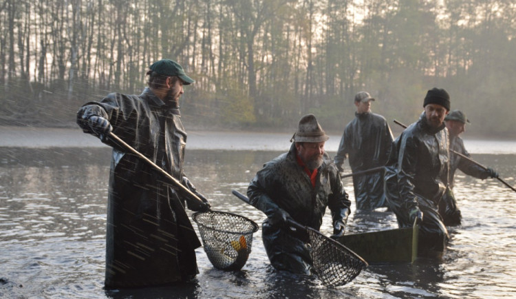 Výlovy rybníků lákají celé rodiny, o víkendu přijde na řadu hradecký Datlík