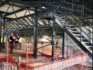 FOTO: Stavba multifunkční haly v Brně postupuje, hotová bude už příští podzim