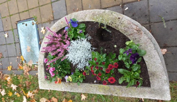 561242434_1217999070361425_4745233550821301761_n