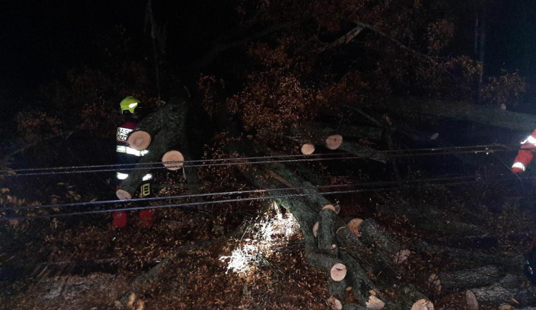 spadlé stromy poškodily trakční vedení