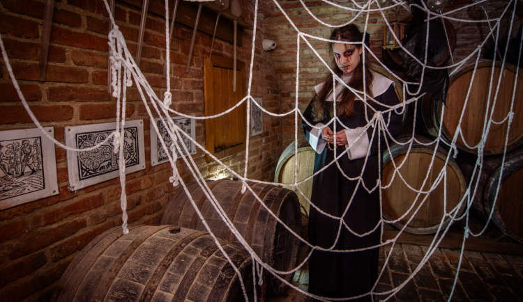 Snímek obrazovky 2025-10-25 144058