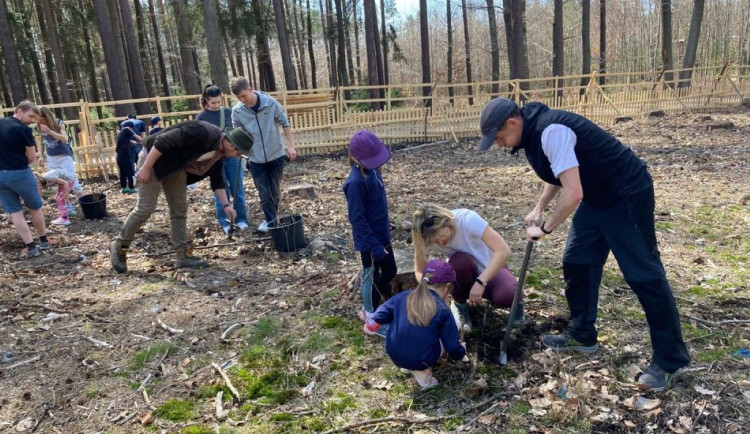 Na akci Den pro les připravila Plzeň 4000 sazenic stromů, které mohou lidé vysadit