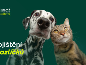 Pes spadl z gauče. Účet od veterináře vás překvapí