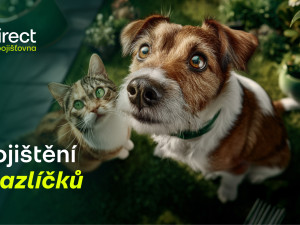 Pes spadl z gauče. Účet od veterináře vás překvapí