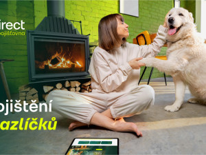 Pes spadl z gauče. Účet od veterináře vás překvapí