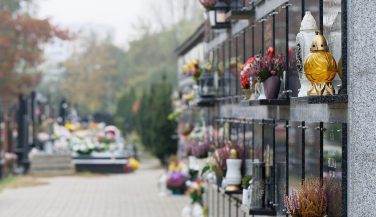 Ilustrační fotografie